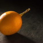 granadilla foodfotografie isachsen | Pixelwerft - Visuelle Kommunikation