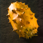 kiwano food fotografie isachsen | Pixelwerft - Visuelle Kommunikation