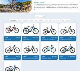 WordPress Webdesign