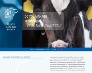 ecc website pixelwerft isachsen | Pixelwerft - Visuelle Kommunikation