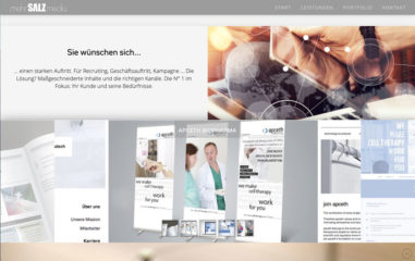 webdesign mehrsalz-media
